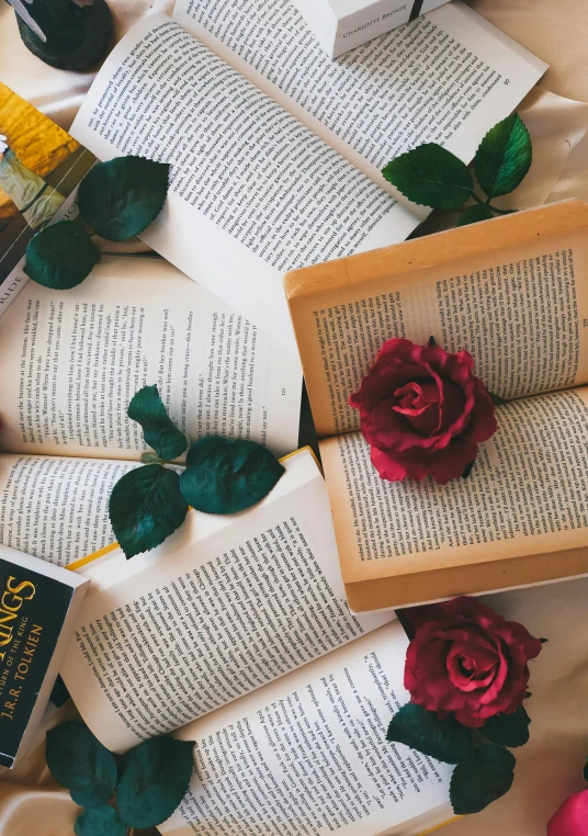 a rose is placed on top of an open book