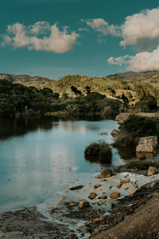 there is an animal standing at the edge of the lake