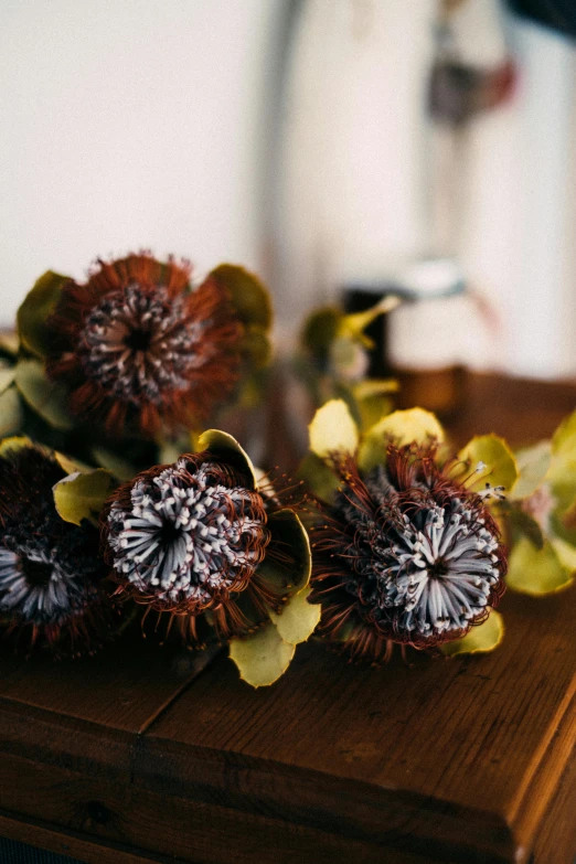 flowers on a wooden table with white walls in the background