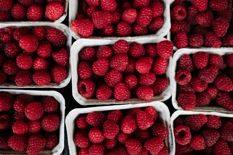 a close up of several plastic containers filled with raspberries