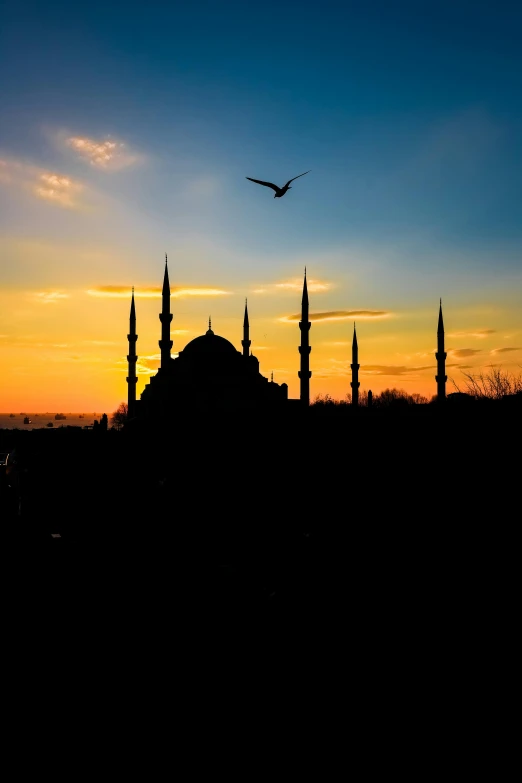 a bird flying in front of a silhouette of a building at sunset