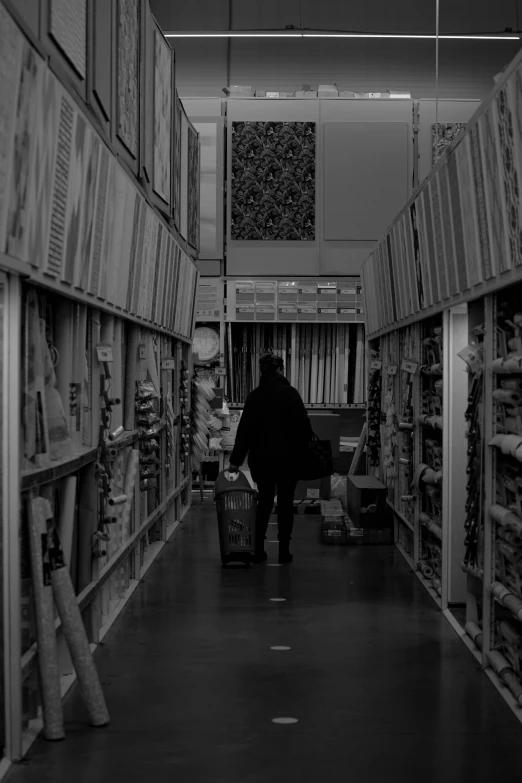 black and white po of a person with a shopping cart in the aisle of a large grocery store