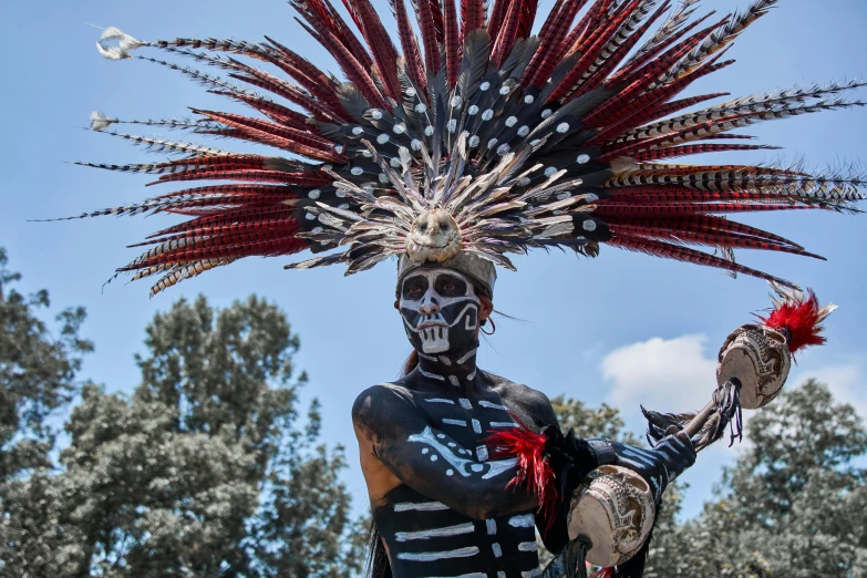 a skeleton with red feathers wearing a silver headpiece