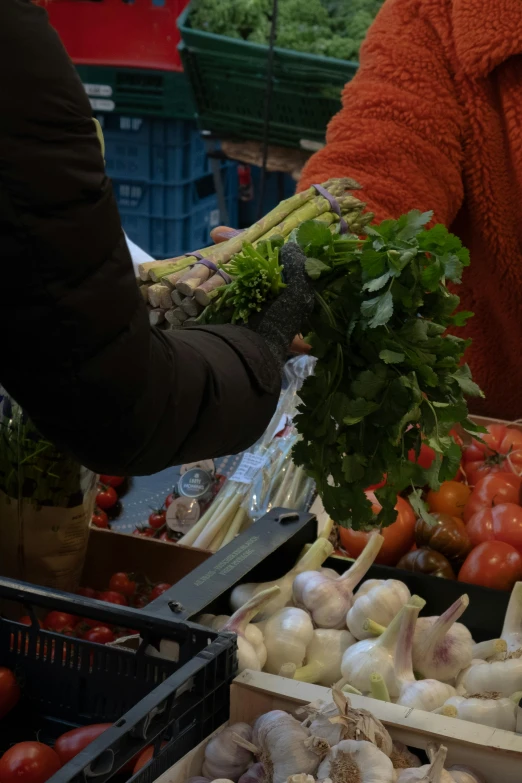 a pile of vegetables on display for sale