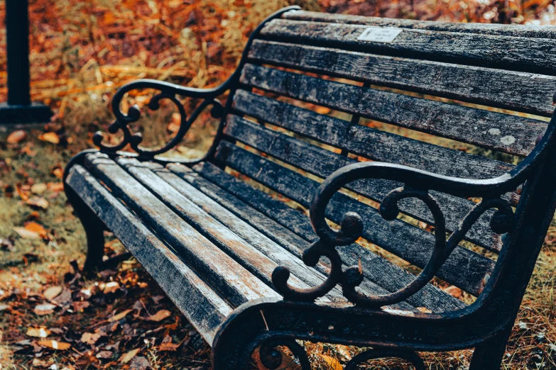 an empty park bench sitting in a field