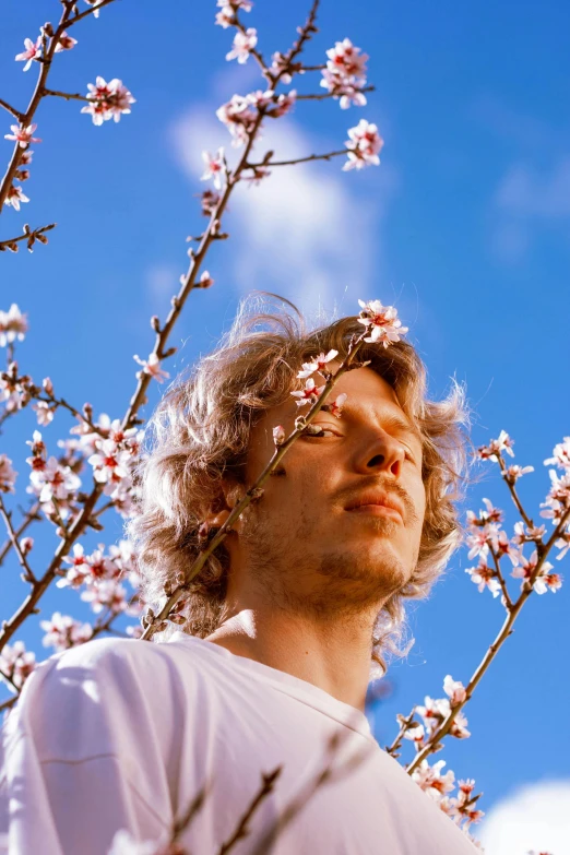 a young man looks up into the sky amongst flowers