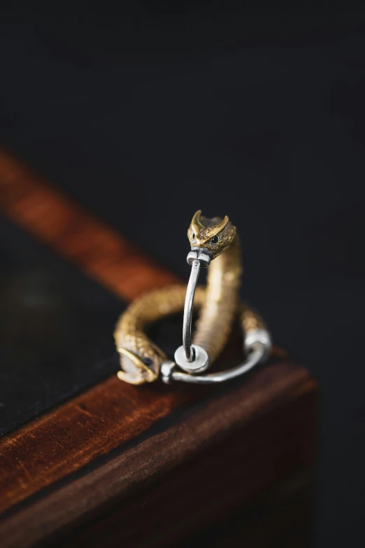 a golden ring that has been placed on top of a table