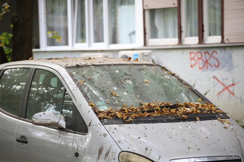 an old car covered with leaves and ivy