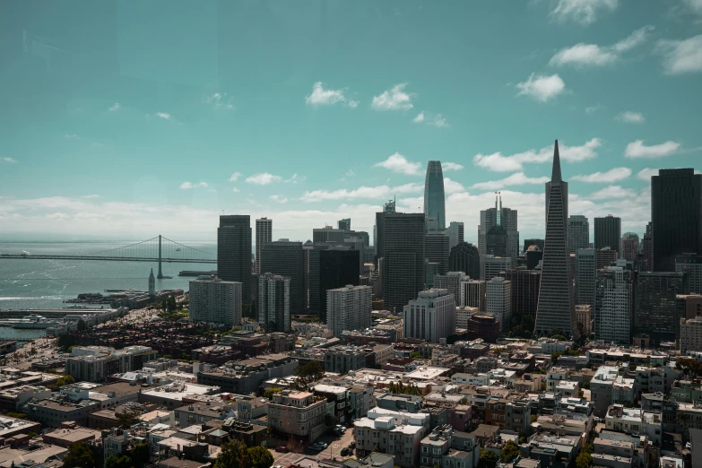 city skyline overlooking the ocean in san francisco