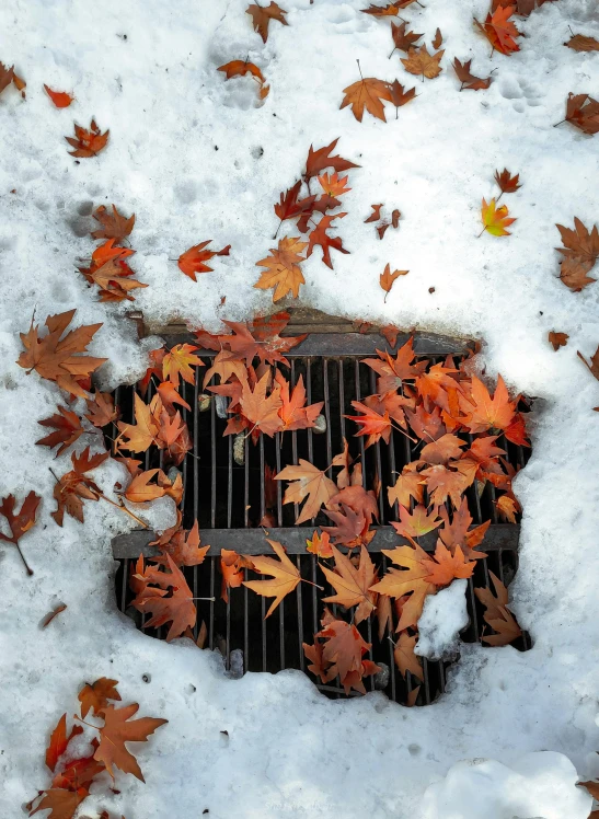 the grill is covered with leaves as well as snow