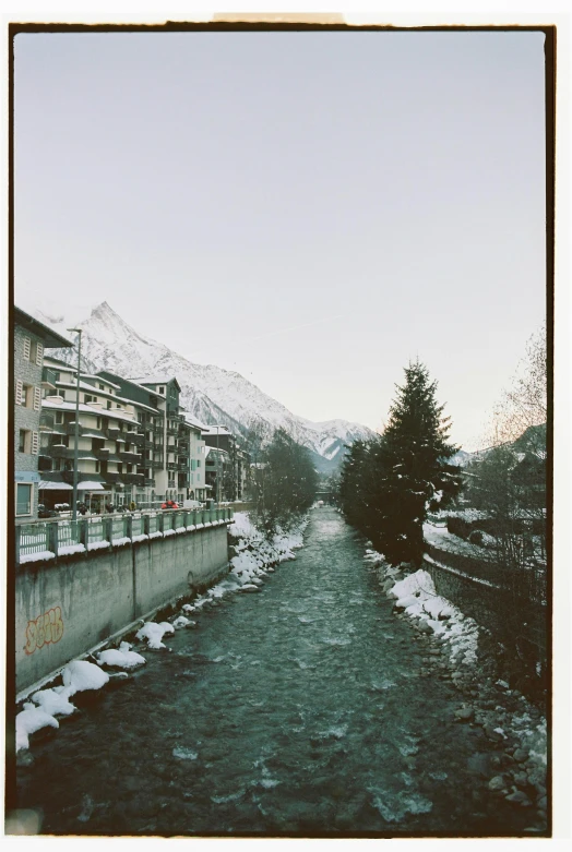 snow covered trees line the bank of a river