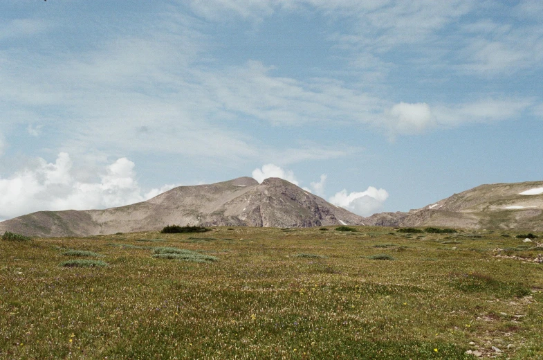 a lone plane flying over grassy field with mountains in the background