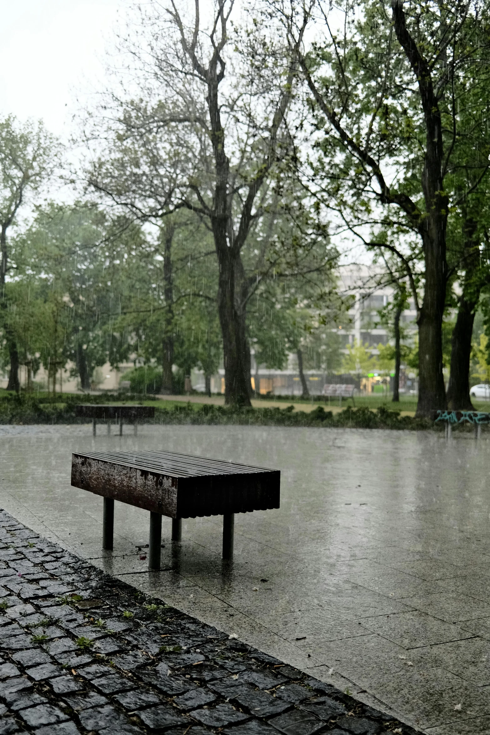 a bench on a wet sidewalk in a park