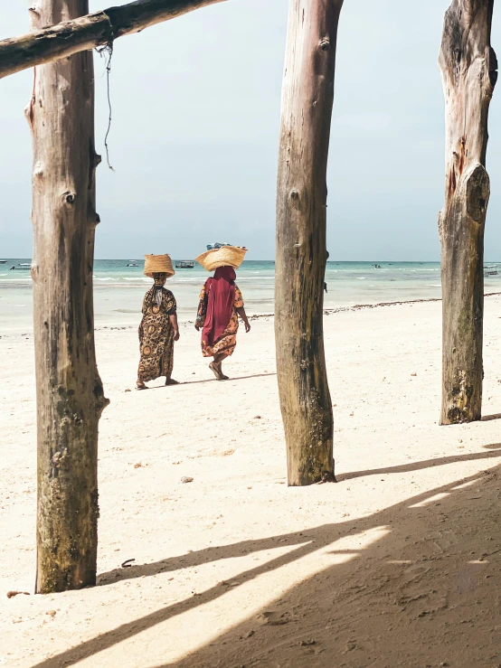 three people on the sand under some tall wooden trees