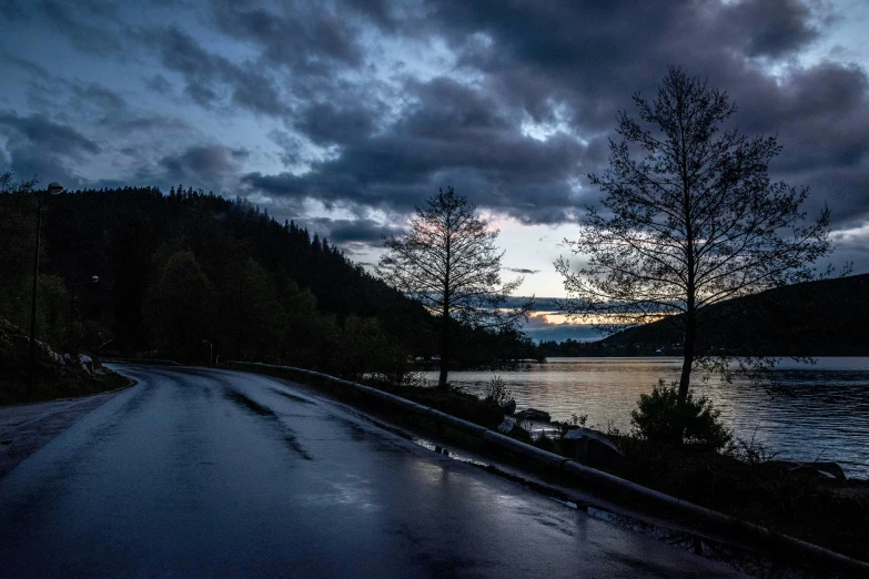 a tree lined road in front of a body of water