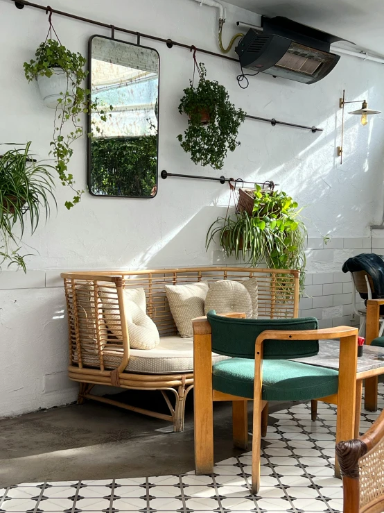 a group of plants are placed on the wall next to a couch