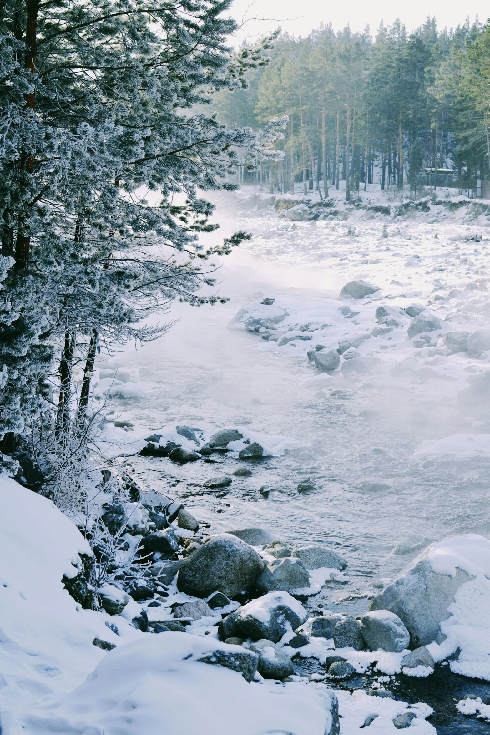 snow is on the ground next to the water