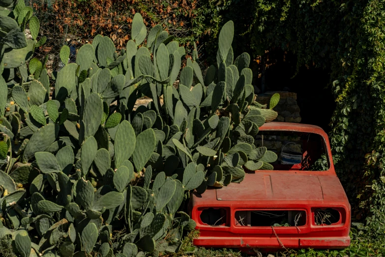 an old red car sitting in a green garden