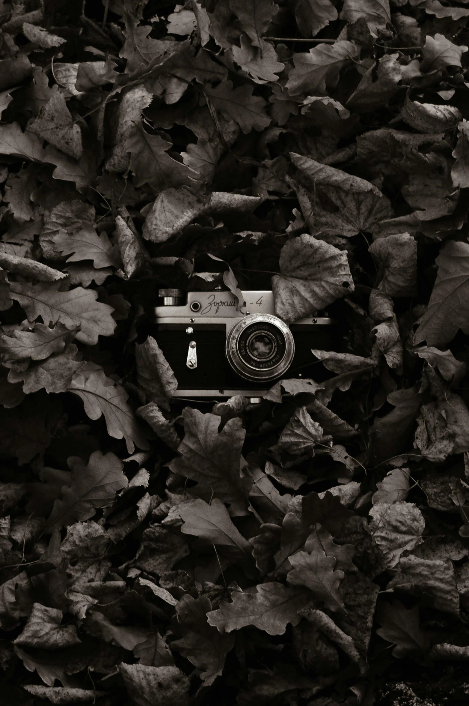a camera on a ground with many leaves