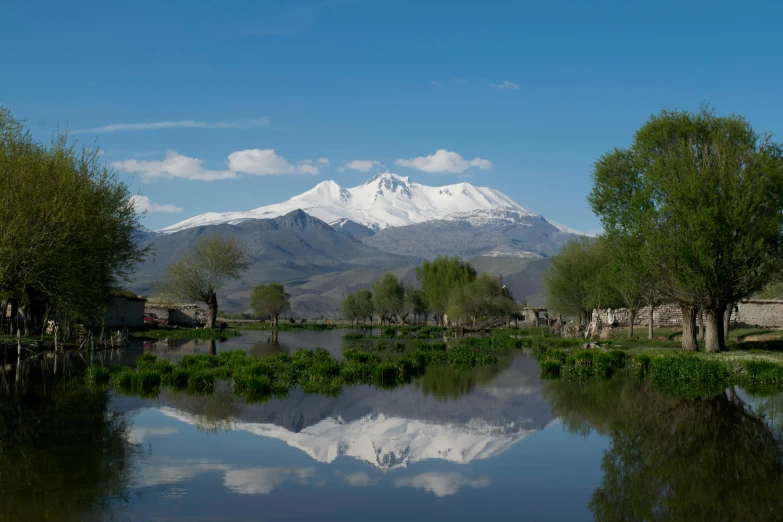 a mountain is in the background of a river that runs through trees