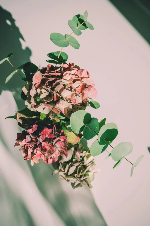 the stem of a bush full of flowers