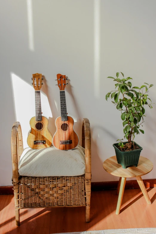 a green plant sitting on top of a wooden chair