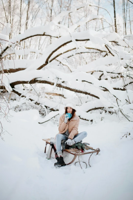 the woman sitting on the sled is covering her face