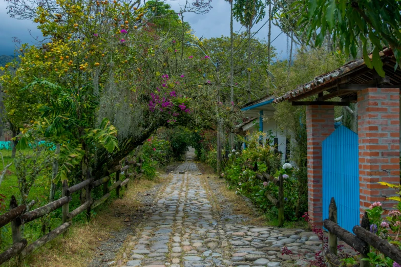 there is a small road that runs through the bushes