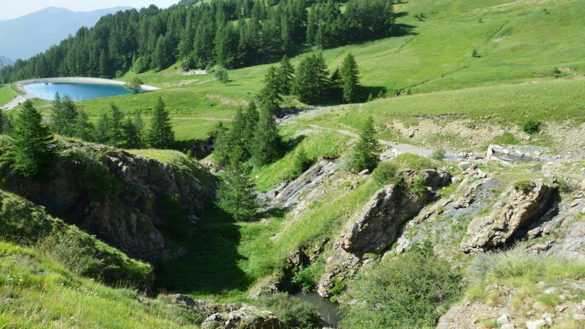 a view of the green valley with trees and water
