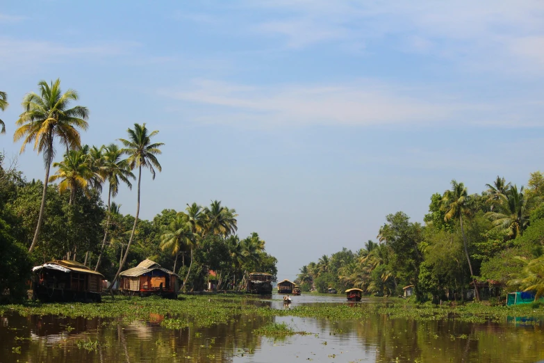 houses are surrounded by trees on the side of a body of water