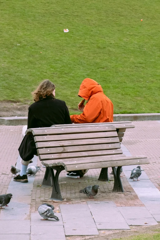 two people sitting on a bench with birds around