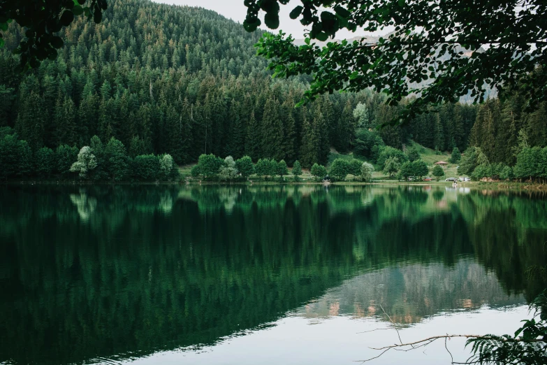 a lake surrounded by trees and some trees