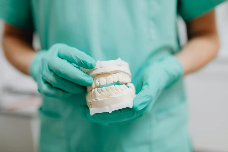 a dentist shows off the dental model of a tooth