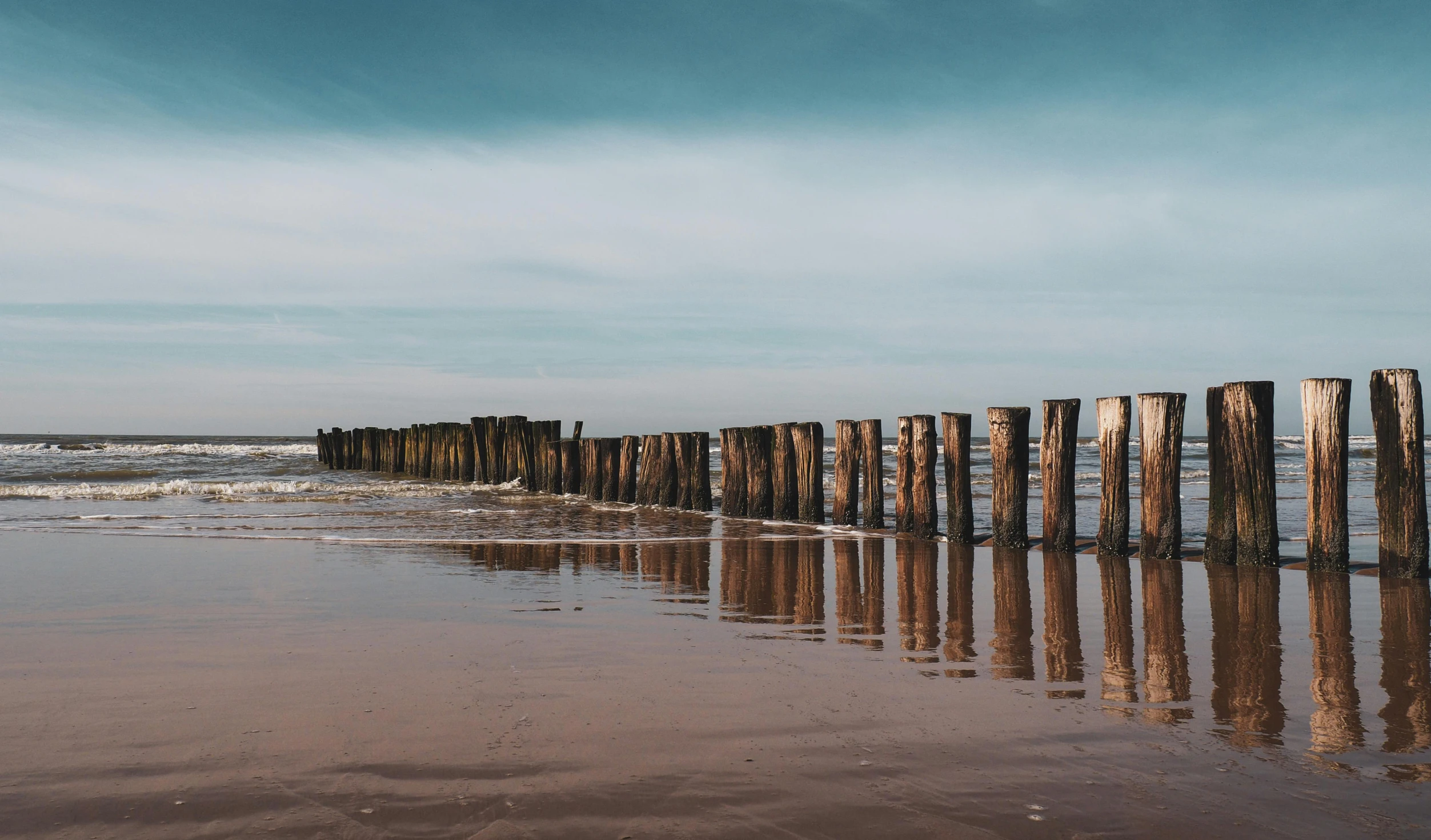 the beach is dirty and old and it's still wet