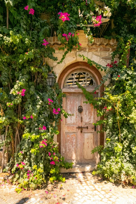 the entrance to a stone house with pink flowers and ivy on it