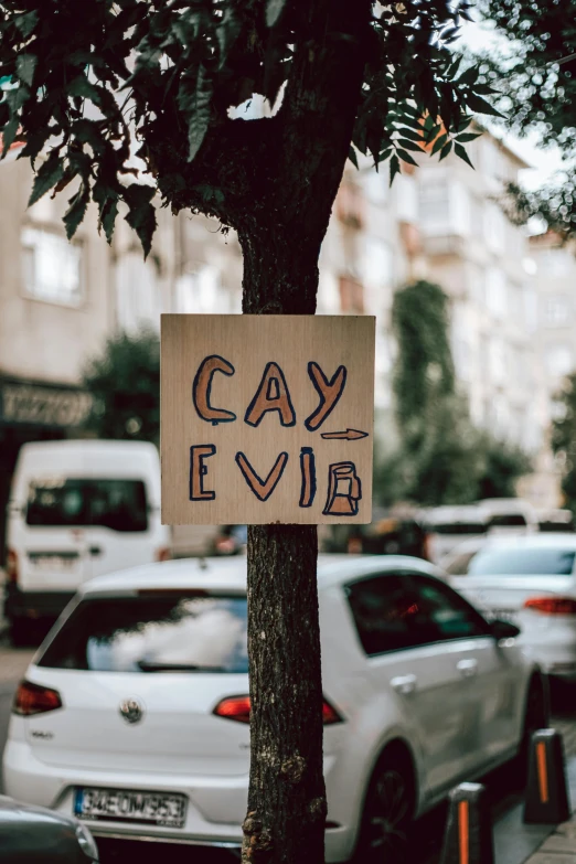 a wooden sign saying cay evn on a tree