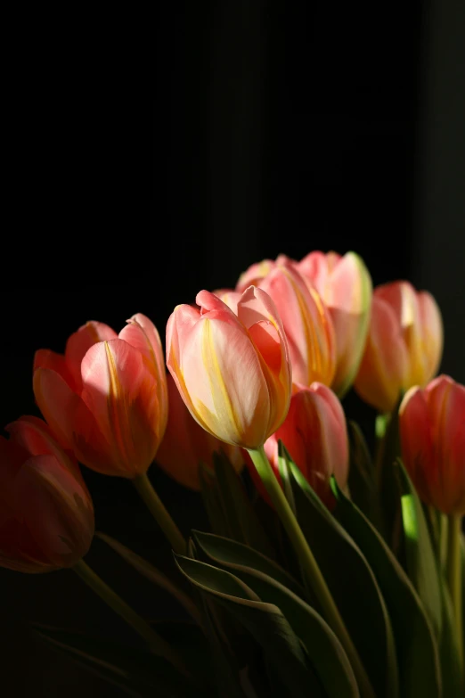 a bunch of different colored flowers in a vase