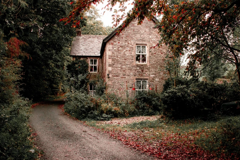 this house is surrounded by lush trees and leaves