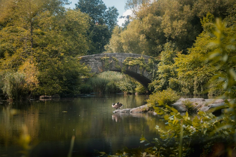 an old stone bridge over a river near trees