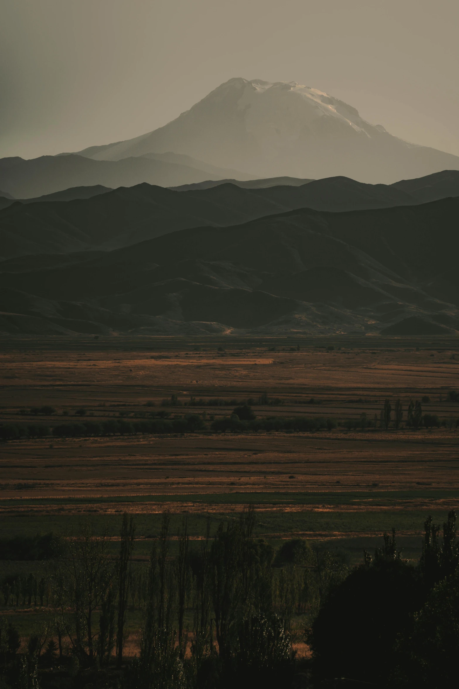 the mountain behind is covered with snow