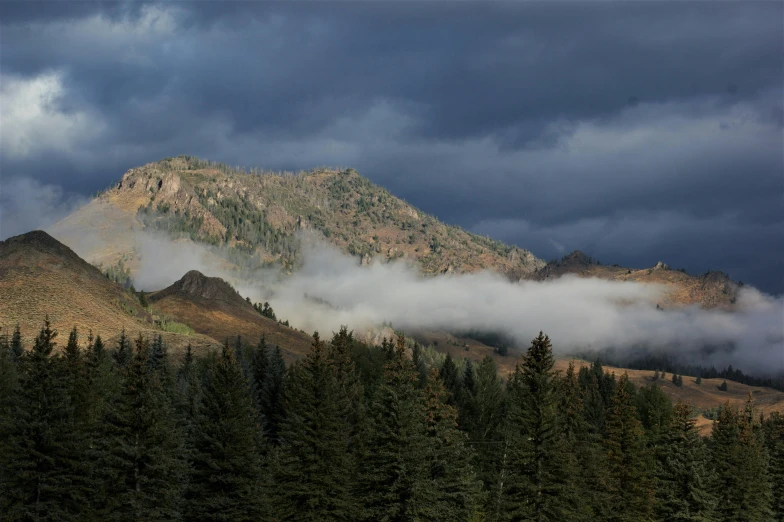 there are many trees on the hill with clouds