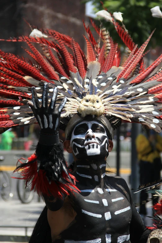 a costumed skeleton is wearing feathers and makeup