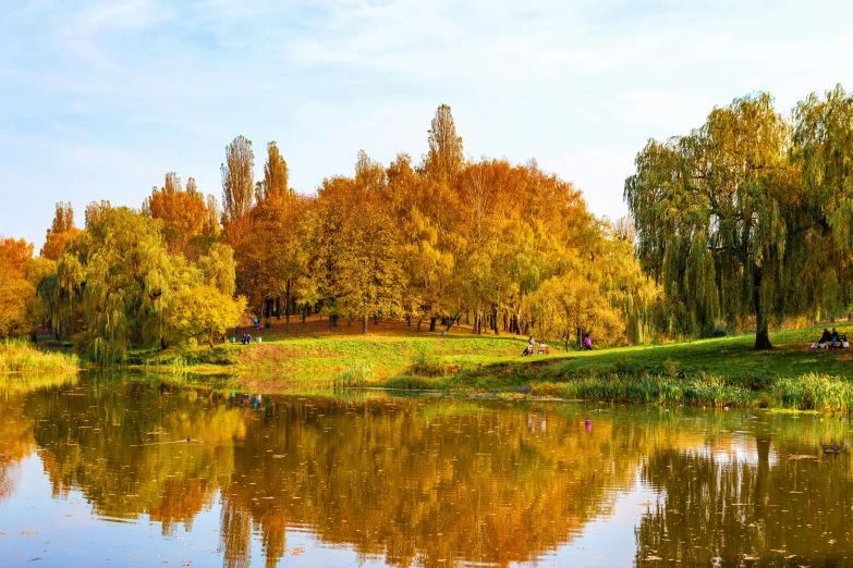 a park that has a body of water surrounded by trees with colorful leaves