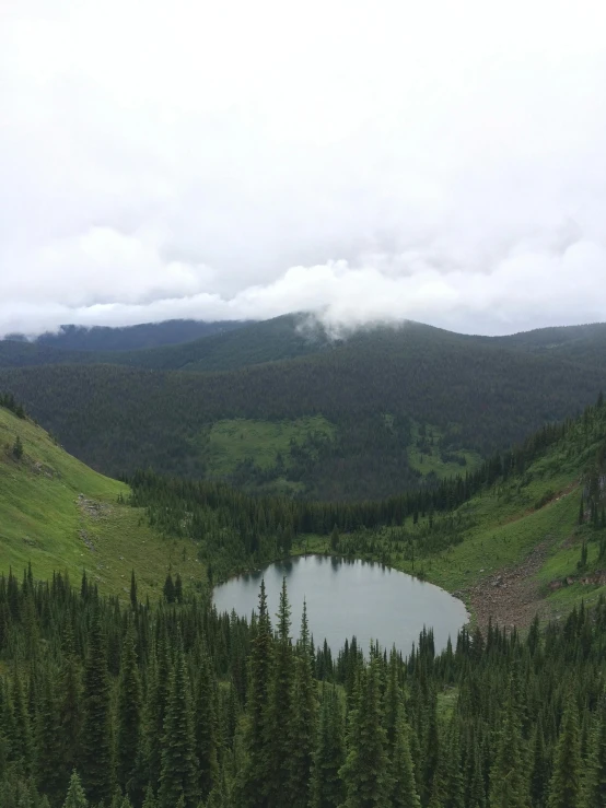 a small lake in the middle of a forest