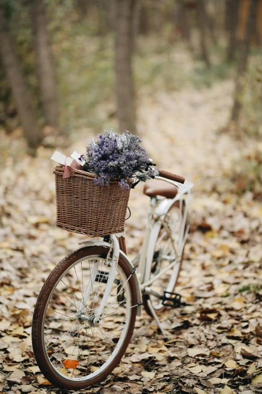 a bicycle is parked on some leaves and plants