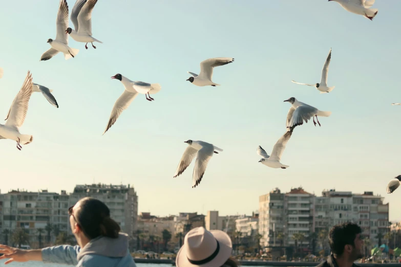 a group of people watch the birds fly by