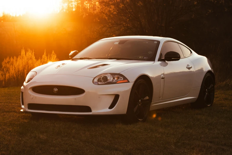 a white car parked in front of a forest on the grass