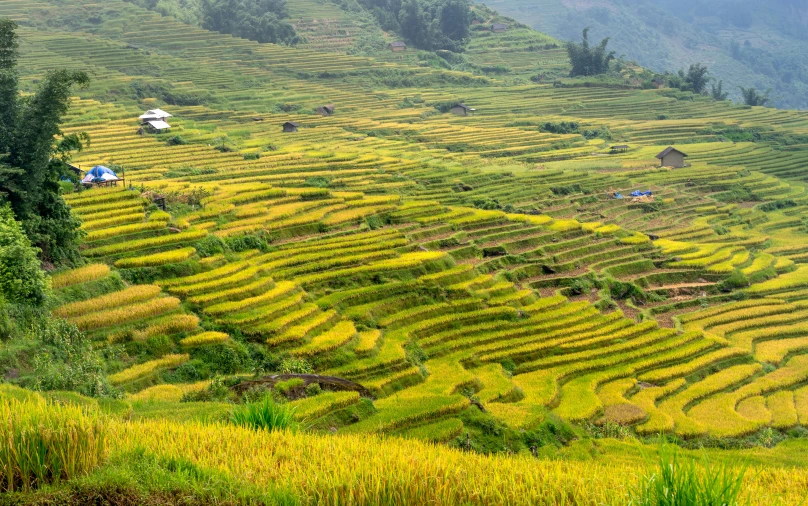 the landscape is very terraces in the mountains