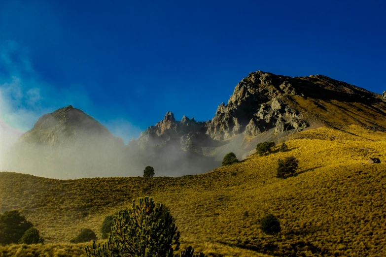 a grassy hill with trees and mountains in the background