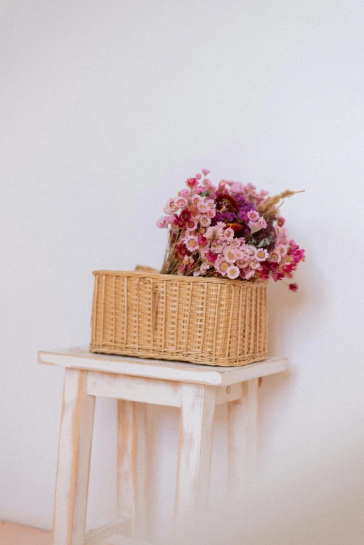 flower sitting on a chair near the wall